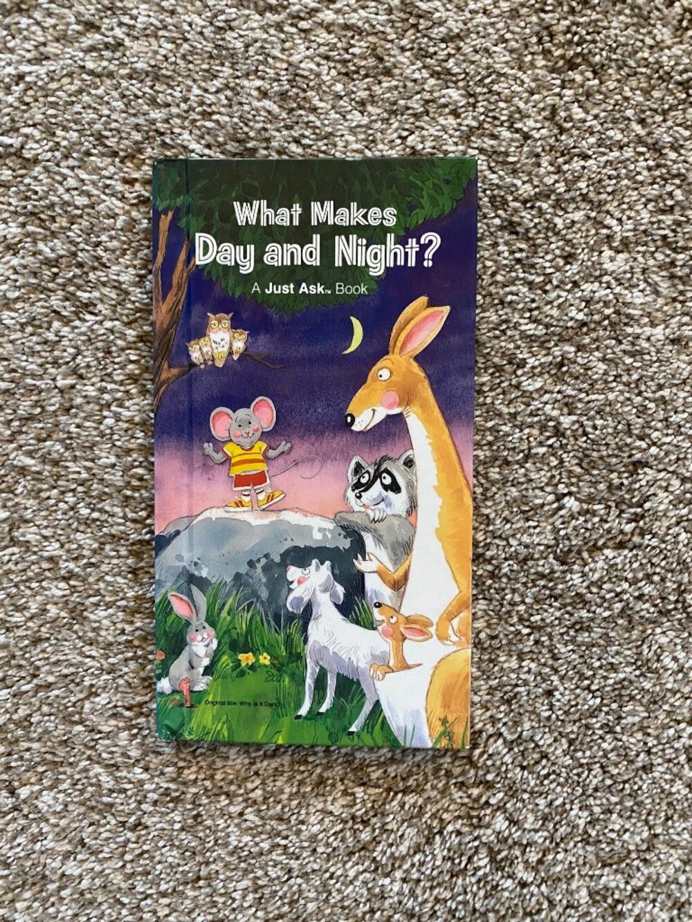Vintage 1984 Child Weekly Reading Book - What Makes Day and Night?